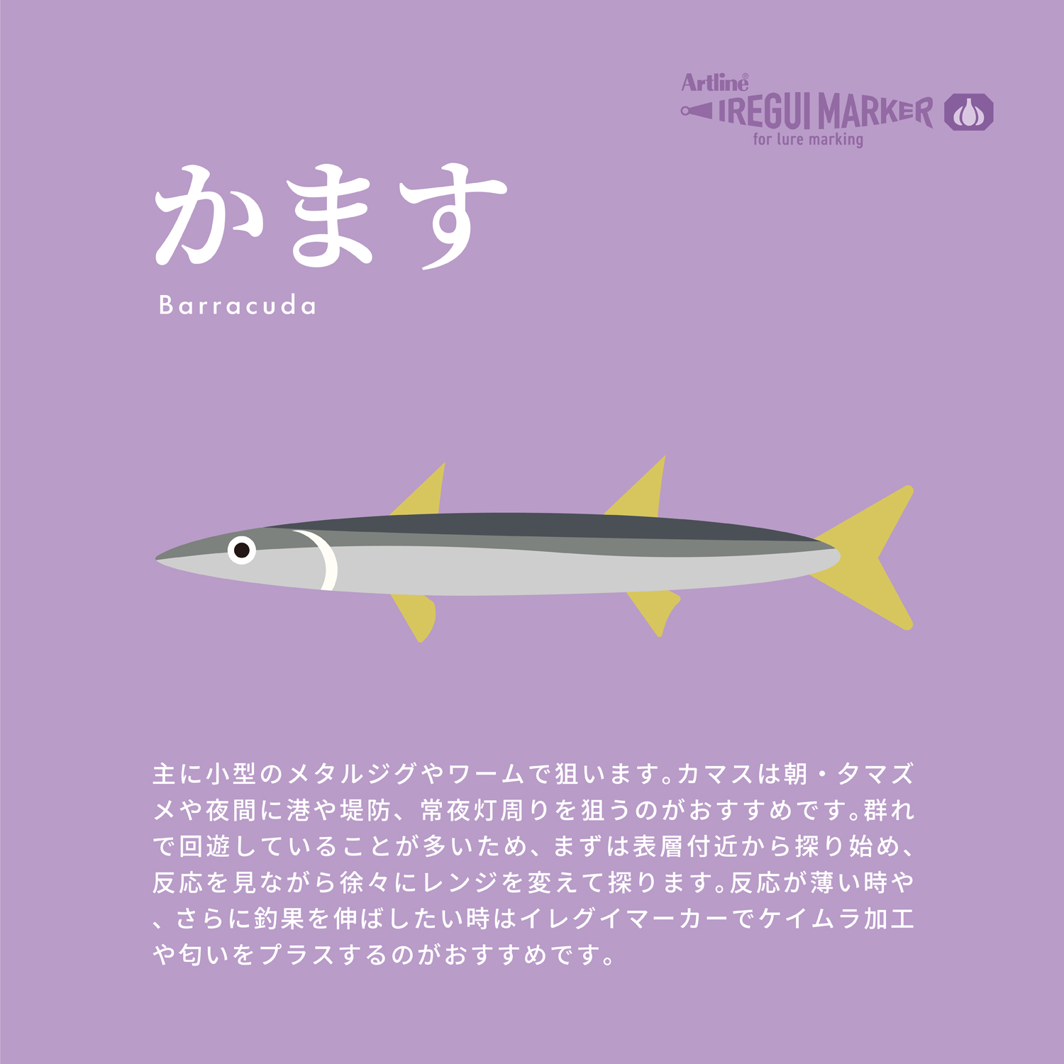 イメージ画像