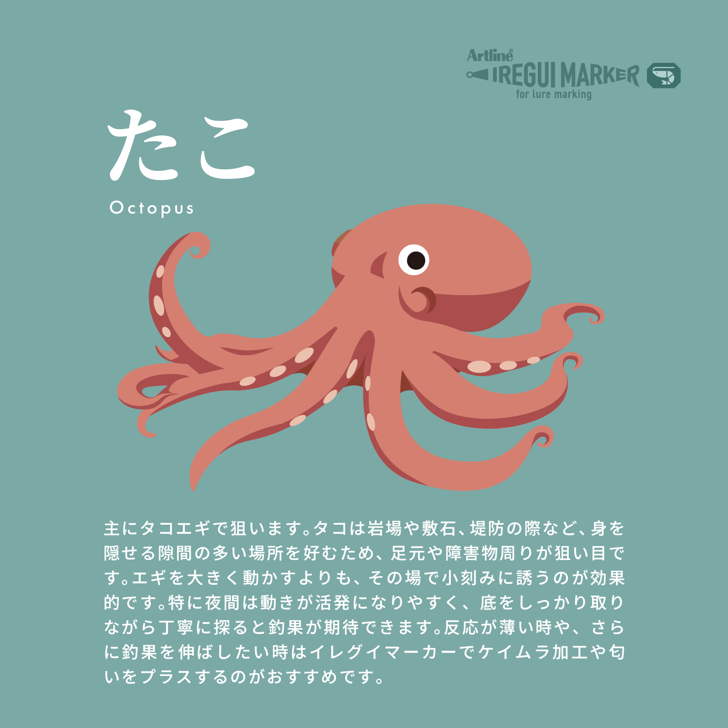 イメージ画像
