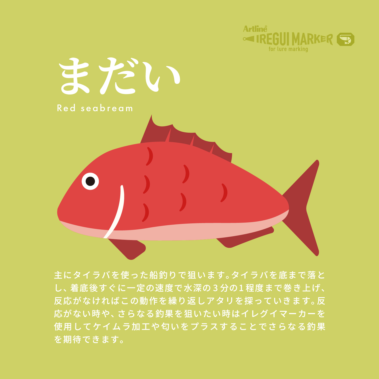 イメージ画像